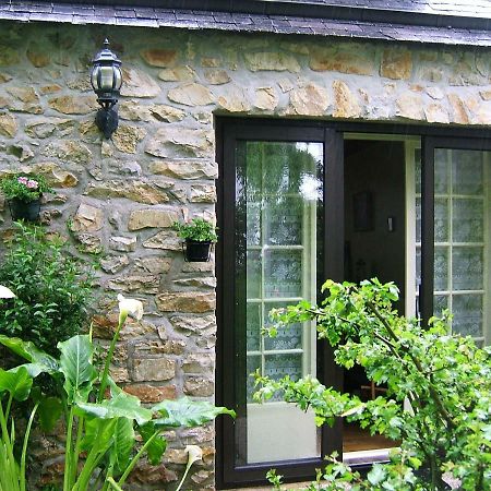 Appartements Tonton Jo Camaret-sur-Mer Eksteriør bilde