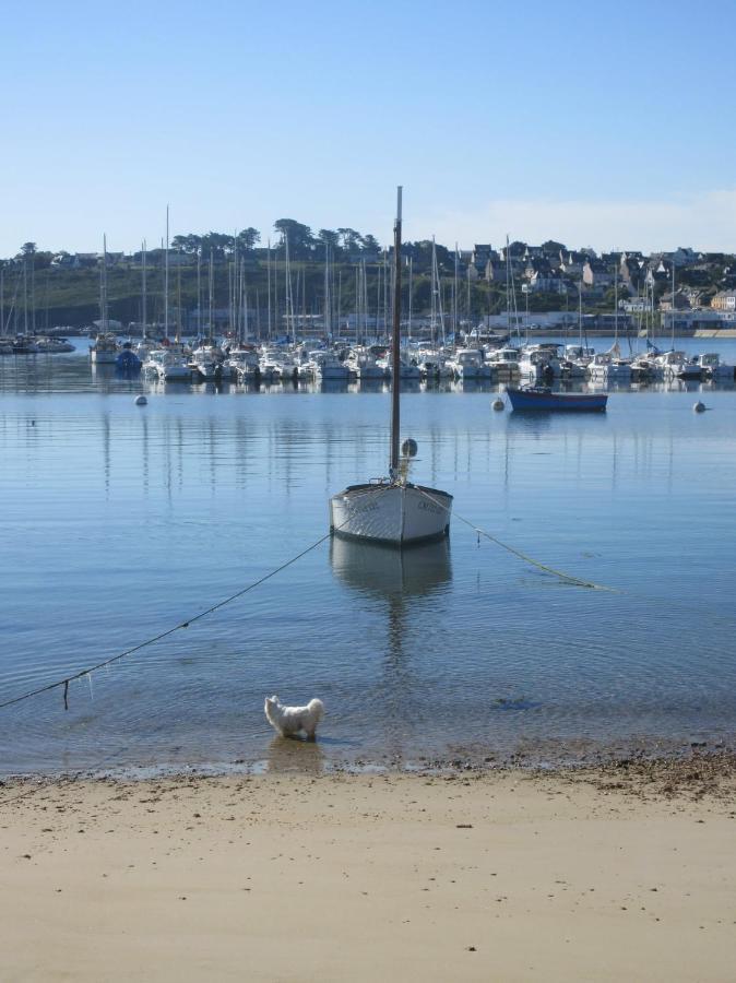 Appartements Tonton Jo Camaret-sur-Mer Eksteriør bilde